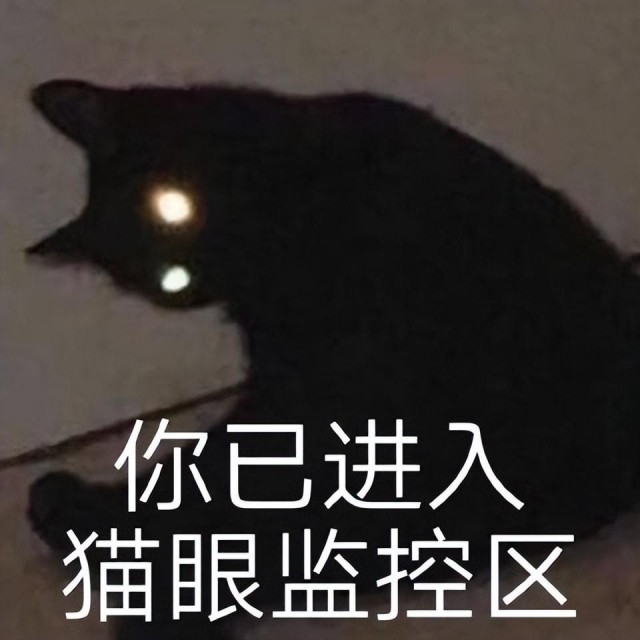 关于一大早起来找猫，把眼睛找瞎了...