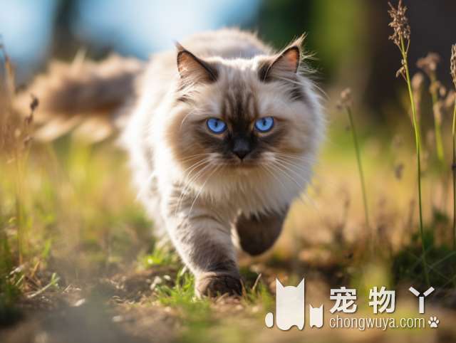 这家购宠中心的狗猫品种丰富，服务好口碑佳，还有售后跟进吗?